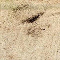 StvarnoBitno's profile picture. 
