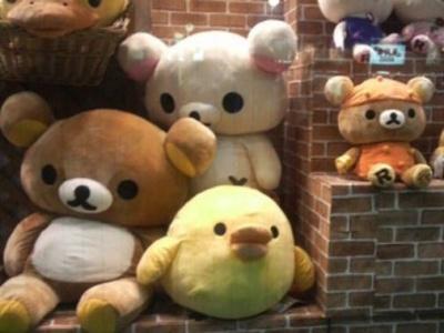 csaas1's profile picture. Riht Here RigtNow