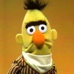 stedrayton's profile picture. 