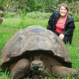 KelseeBee523's profile picture. 