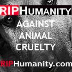 RIPHumanity11's profile picture. Trying to end animal cruelty.Visit our website for adorable animal rights T-Shirts. Look adorable and bring awareness! 10% donated to http://t.co/mdDzzt4ust