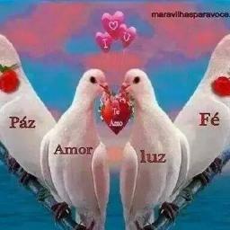 dlcea_dilamor2's profile picture. 