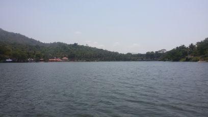 DTsmenon's profile picture. HSE Training at Kochi