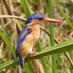 Pearl of Africa Vacations (@traveltoug) Twitter profile photo Pearl of Africa Vacations (@traveltoug) Twitter profile photo