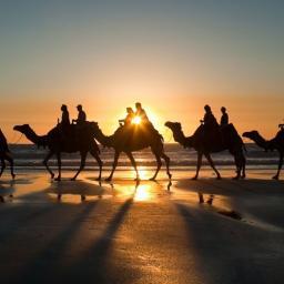 CamelcadeIDE's profile picture. Perl plugin for IntelliJ IDEA