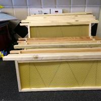 The Beekeeper’s Workshop (@mpurcell573) 's Twitter Profile
