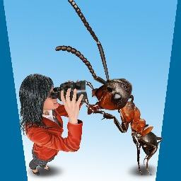 Bio #TRIZ #eco-friendly #solutions for #innovation and #natural #business #management. BioTRIZ is about #Natural #leadership, #ant #societies, #selforganisation