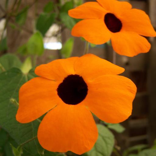 yoli_j2001's profile picture. 