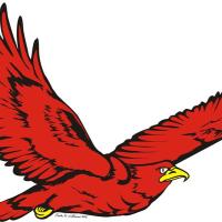 Clarkson Elementary (@cessoars) 's Twitter Profile