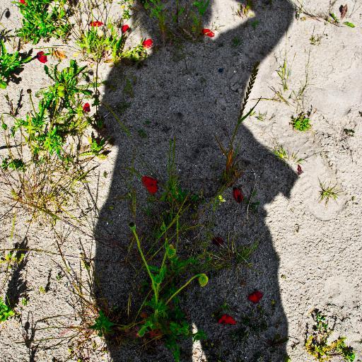 NTerenstra's profile picture. Voornemer