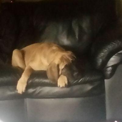 OslundTo's profile picture. 