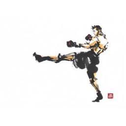 saikyokawakami5's profile picture. 格闘技大好き。キックボクシングはにわかですけど、ボクシングも詳しい……はず。