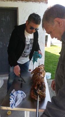 gmaggolis's profile picture. 