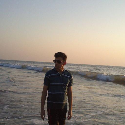 mayursalelkar's profile picture. 