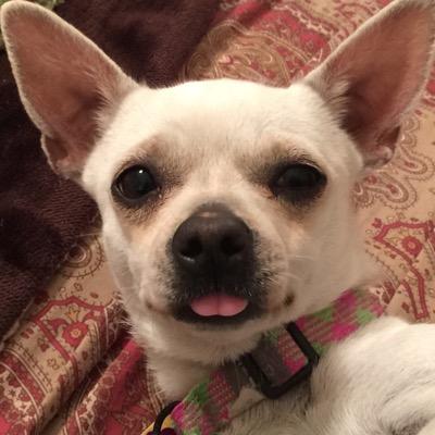 TrixJo35's profile picture.