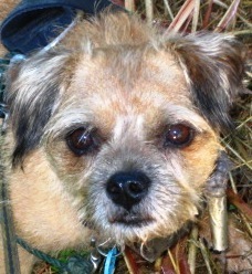 roccopet's profile picture. Animals are people too!!!