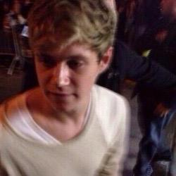 pilotsniall's profile picture. “niall the bad boy? give it a rest...niall the church boy, more like...”