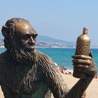 jordi de diego (@jordidyde) 's Twitter Profile