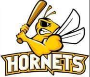 Playing in the Baseball Ireland League. 2015 B League North Champs. Part of the Belfast American Sports Association. #GoHornets #JoinTheHive