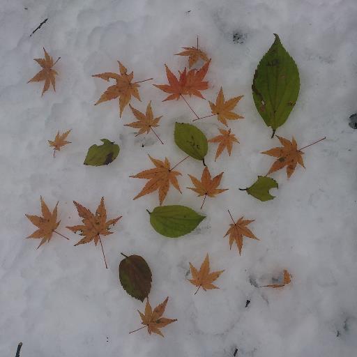 windships's profile picture. 映画をみること、本を読むこと、食べること、路地も都会も自然の中も、散歩することが好きです。メダカ、ドジョウ、金魚が水槽にいます。離れたかった京都も気がつけば大好きになっていました。ふや町映画タウンさんからVHSを借りてみる熱が復活しました。