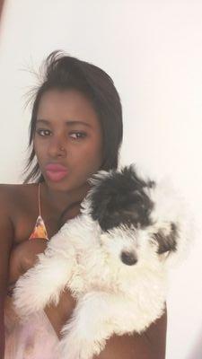 f46582ad44c04c9's profile picture. felicidade!