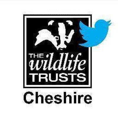 Network for Cheshire Wildlife Trust Volunteers. Keep up to date with the latest news and opportunities.