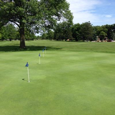 Defiance Boys Golf Profile