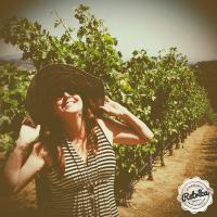 #SonomaWineCat (@lisaleedesign) 's Twitter Profile Photo