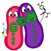 iGEM Manchester-Graz (@igemmancgraz) 's Twitter Profile Photo iGEM Manchester-Graz (@igemmancgraz) 's Twitter Profile Photo