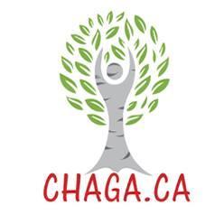 We harvest and sell high-quality, all-natural Chaga mushroom! If you have an audience (here, a blog, elsewhere...) and would like a sample, let us know!