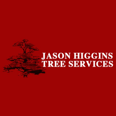 jason s tree service arborist jason higgins tree jasonhigginstre twitter jason s tree service arborist jason higgins tree jasonhigginstre twitter