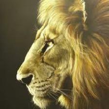 CastellinoE's profile picture. 