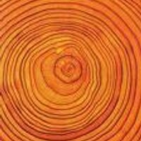 chris znag (@dendrolab) 's Twitter Profile