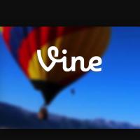 Best Videos (@bestvideosww) 's Twitter Profile
