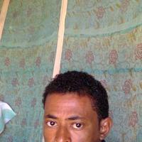 فحل سوداني  (@d3m6bpt1qffmrwq) Twitter profile photo