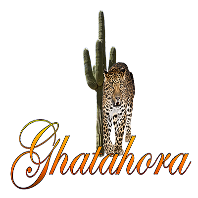 Ghatahora Photography is based in Basingstoke, We specialise in wedding, commercial, product, portrait & event photography.