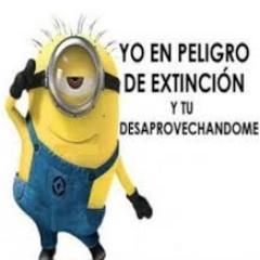 dios me da un dia mas de vida