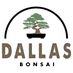 Dallas Bonsai (@dallasbonsai) Twitter profile photo Dallas Bonsai (@dallasbonsai) Twitter profile photo