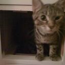 Clare Hunter - @PhoebenFennel - Twitter