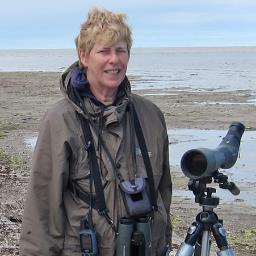 I love all birds, and have a special interest in shorebirds, gulls and grassland birds of the Carden Alvar.