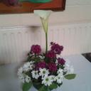 Joan Canning - @canning_joan - Twitter