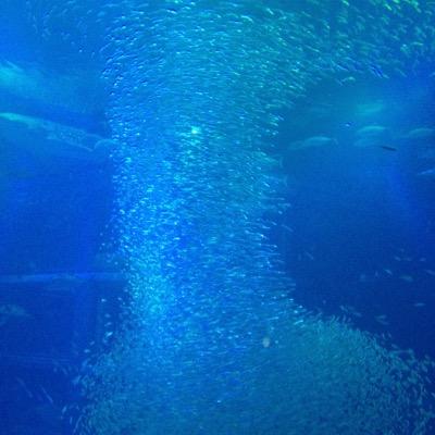 研究者(立命館大学)。貧困、生活保護。著書『〈自立支援〉の社会保障を問う』https://t.co/MkJRVOTZrJ 共編著『自立へ追い立てられる社会』 https://t.co/Gm1PTcvh4W