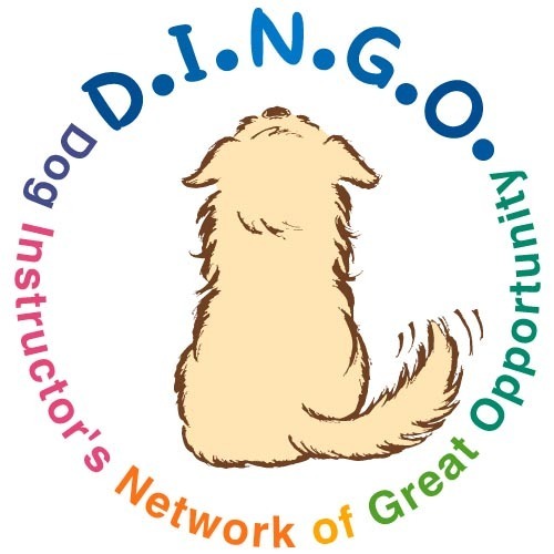 人道的で科学的な犬や猫、鳥やうさぎなどのトレーニングを提案するD.I.N.G.O.です。
