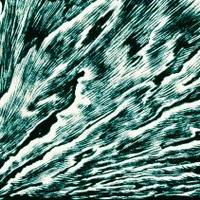 2020Dublin (@2020dublin) 's Twitter Profile