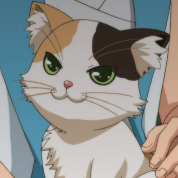 KodyWTF's profile picture. oRantx