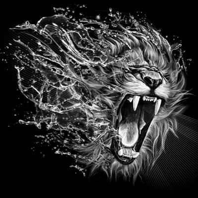 Crypto_Mehmet0's profile picture. 