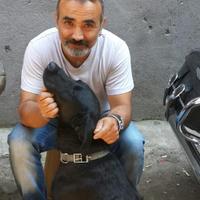 Sakin Kurucan (@sakinkurucan) Twitter profile photo