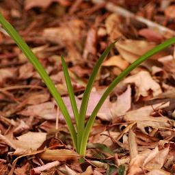 devrajdovrial's profile picture. 