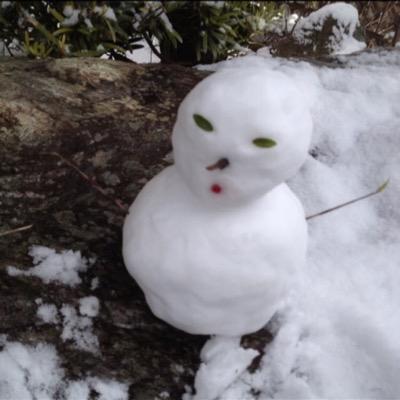 a5121241's profile picture. 