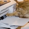 Printer Geek Profile